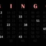 Bingo Master Board Bingo Master Board PLUS