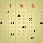 Bingo Master Board Bingo Master Board PLUS